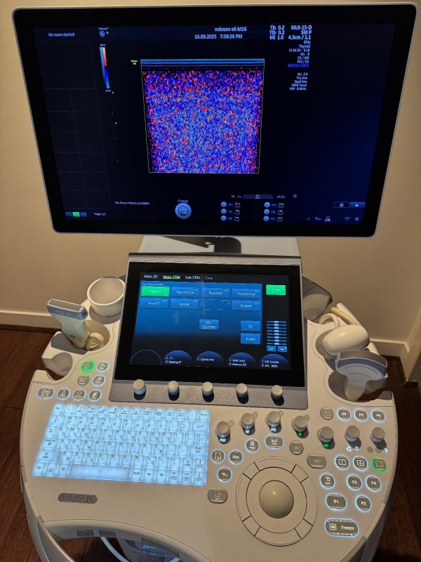 GE VOLUSON 4D ULTRASOUND E6 BT16 2016 3 PROBES HDLIVE