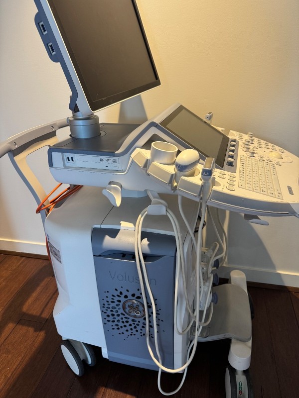 GE VOLUSON 4D ULTRASOUND E10 BT16 2016 3 PROBES HDLIVE