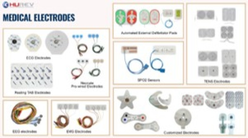 Sensing & Stimulating Electrodes